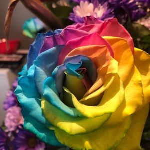 Meet your Posher, Ernie